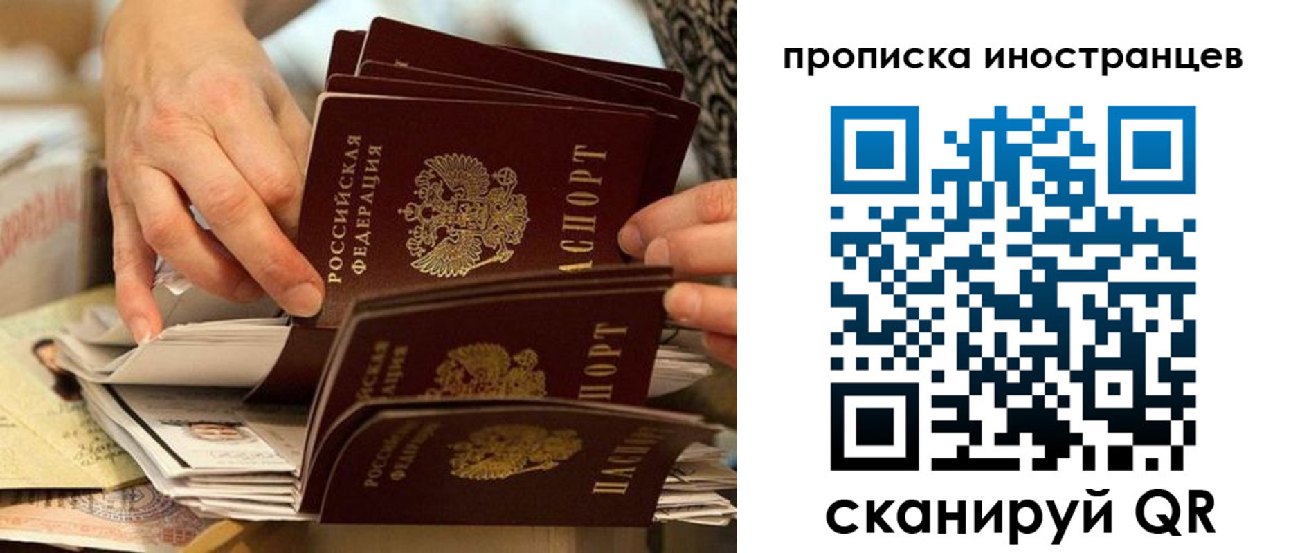 прописка 2025 в Борисоглебске